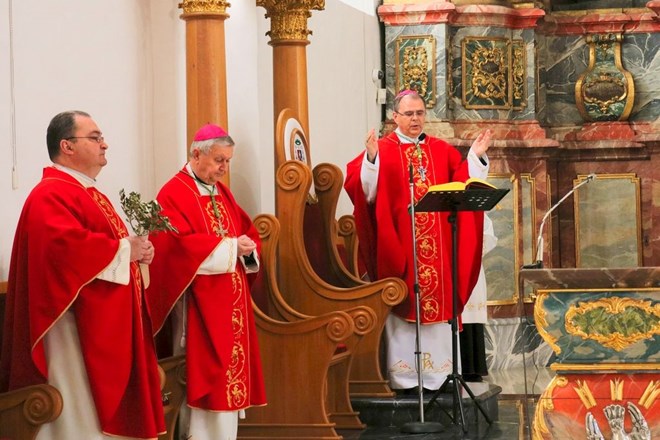 Biskup Bože Radoš u katedrali na Cvjetnicu - Nedjelju Muke Gospodnje predslavio misno slavlje